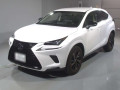 2019 Lexus NX