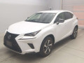 2019 Lexus NX