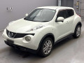 2011 Nissan JUKE
