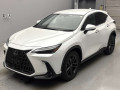 2023 Lexus NX