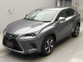 2020 Lexus NX