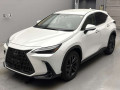 2023 Lexus NX