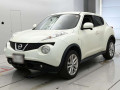 2012 Nissan JUKE