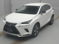 2020 Lexus NX