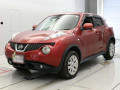 2013 Nissan JUKE