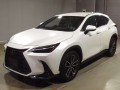 2023 Lexus NX