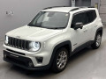 2020 Jeep Renegade