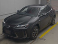 2019 Lexus UX