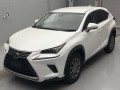 2018 Lexus NX