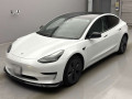 2021 Others MODEL 3