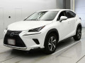 2019 Lexus NX
