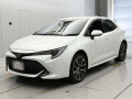 2020 Toyota Corolla Sports