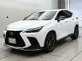 2022 Lexus NX