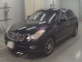 2010 Nissan Skyline Crossover