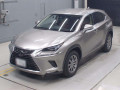 2020 Lexus NX
