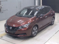 2021 Nissan Leaf
