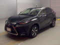 2019 Lexus NX