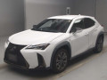 2021 Lexus UX