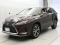 2019 Lexus RX