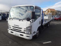 2019 Isuzu Elf Truck