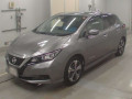 2021 Nissan Leaf