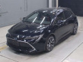 2022 Toyota Corolla Sports
