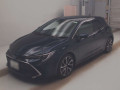 2021 Toyota Corolla Sports