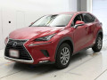 2019 Lexus NX