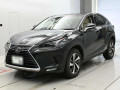 2018 Lexus NX