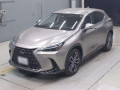 2022 Lexus NX