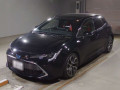 2022 Toyota Corolla Sports