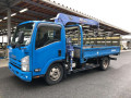 2008 Isuzu Elf Truck