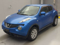 2011 Nissan JUKE