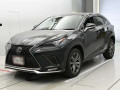 2020 Lexus NX