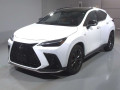 2024 Lexus NX