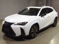 2021 Lexus UX