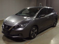 2021 Nissan Leaf