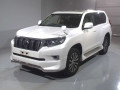2019 Toyota Land Cruiser Prado