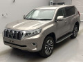 2021 Toyota Land Cruiser Prado