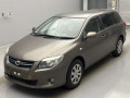 2009 Toyota Corolla Fielder