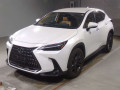 2022 Lexus NX