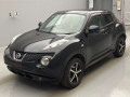 2011 Nissan JUKE