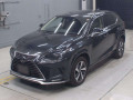 2021 Lexus NX