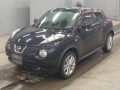 2011 Nissan JUKE