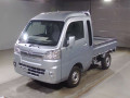 2019 Daihatsu Hijet Truck