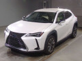 2021 Lexus UX