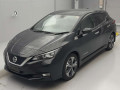 2019 Nissan Leaf