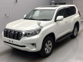2021 Toyota Land Cruiser Prado