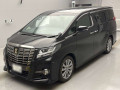 2017 Toyota Alphard