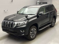 2024 Toyota Land Cruiser Prado
